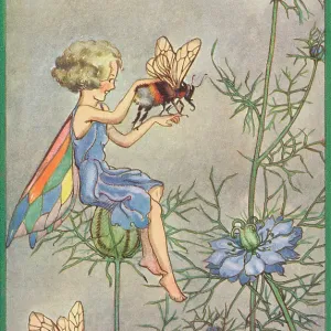 Fairyland - fairy and bee Fairyland - fairy and bee