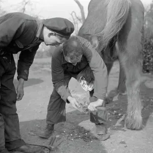 A Farrier at work, Worcestershire A Farrier at work, Worcestershire