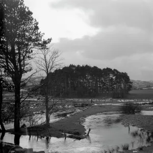 February landscape in the Welsh Borders February landscape in the Welsh Borders