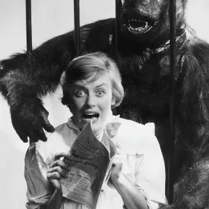 Female model with magazine and gorilla Female model with magazine and gorilla