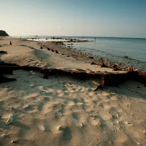 Fields of Battle, Lands of Peace - W Beach Fields of Battle, Lands of Peace - W Beach
