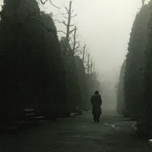 Figure in the Mist Figure in the Mist
