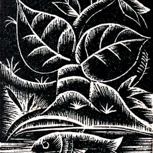 A fish swimming in a river A fish swimming in a river