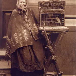 FORTUNE TELLER & BIRD FORTUNE TELLER & BIRD