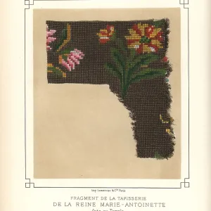 Fragment of a tapestry by Queen Marie Antoinette
