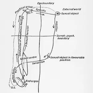 FREUD/SEXUAL DIAGRAM/263 FREUD/SEXUAL DIAGRAM/263