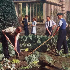 Gardening at a Depot Gardening at a Depot