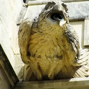 Gargoyle at Gloucester Cathedral, Gloucestershire Gargoyle at Gloucester Cathedral, Gloucestershire