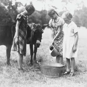 THREE GIRLS WITH DONKEYS THREE GIRLS WITH DONKEYS