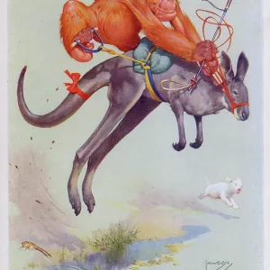 Gran pop the orangutan monkey riding a Kangaroo Gran pop the orangutan monkey riding a Kangaroo