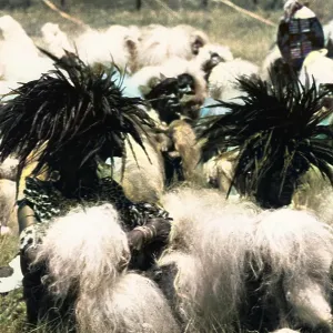 Group of Zulu Men Group of Zulu Men