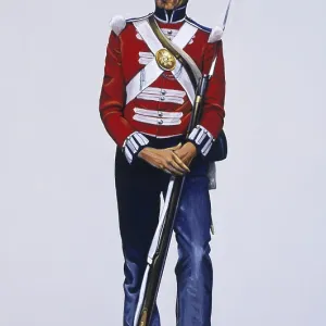 Guardsman (Private) - The Coldstream Guards Guardsman (Private) - The Coldstream Guards