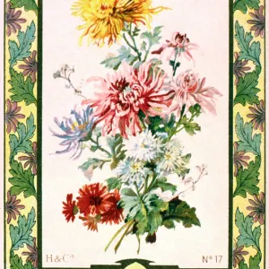 H & Cie - Chrysanthemums - No.17 H & Cie - Chrysanthemums - No.17