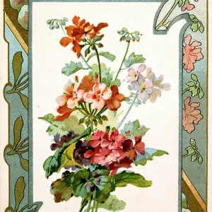 H & Cie - Geraniums - No.10 H & Cie - Geraniums - No.10