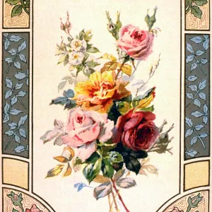 H & Cie - Roses - No.19 H & Cie - Roses - No.19