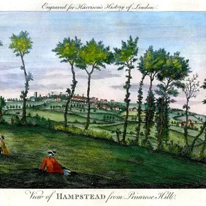 Hampstead From Primrose Hill