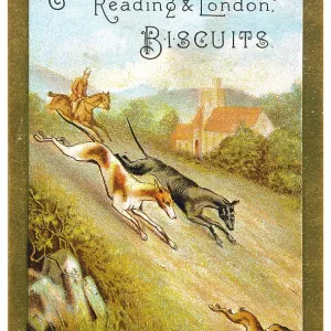 HARE COURSING HARE COURSING