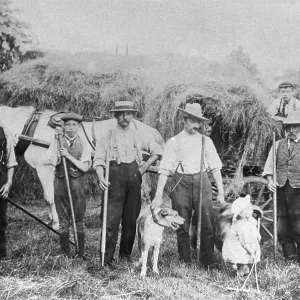 HARVESTING 1880 HARVESTING 1880