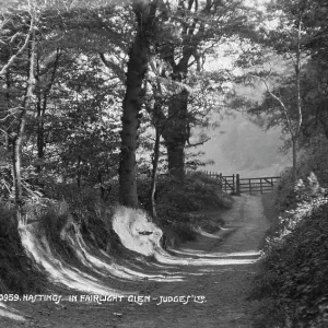 Hastings in Fairlight Glen Hastings in Fairlight Glen