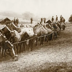Horses and people at Barnet Fair