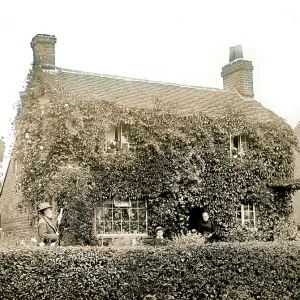House covered in ivy