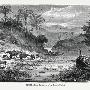 Ideal landscape of the Eocene Period Ideal landscape of the Eocene Period