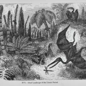 Ideal landscape of the Liassic Period Ideal landscape of the Liassic Period
