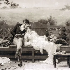 An illustration of a courtship