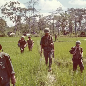 INFANTRY IN RICE PADDY INFANTRY IN RICE PADDY