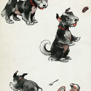 Jeek the puppy getting into trouble Jeek the puppy getting into trouble