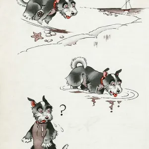 Jeek the puppy at the seaside Jeek the puppy at the seaside