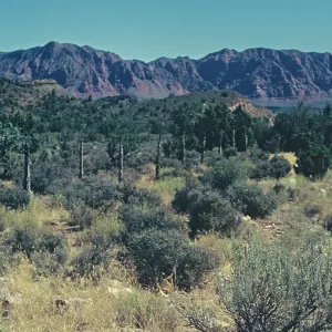 Kanab - Utah Kanab - Utah