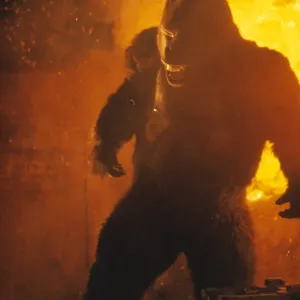 King Kong King Kong