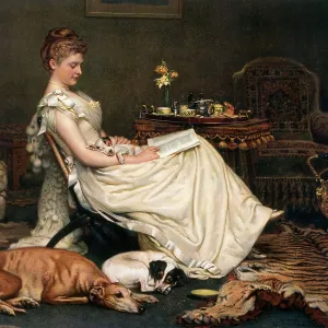 A lady relaxing with her dogs