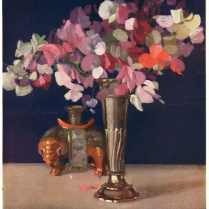 Still Life Still Life