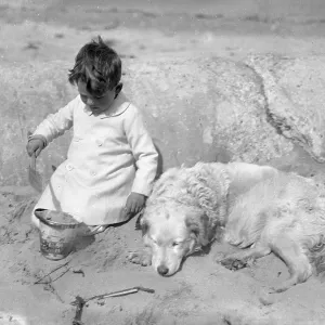 Little boy and his dog on a sandy beach Little boy and his dog on a sandy beach