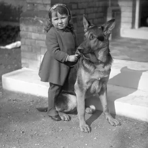 Little girl and her German Shepherd dog Little girl and her German Shepherd dog
