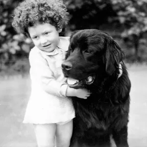 Little girl and her large dog Little girl and her large dog