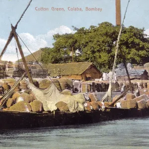 LOADING COTTON, BOMBAY LOADING COTTON, BOMBAY