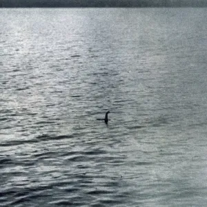 LOCH NESS MONSTER LOCH NESS MONSTER