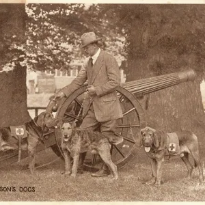 MAJOR RICHARDSONS DOGS MAJOR RICHARDSONS DOGS