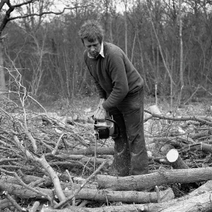 Man in a wood, using a chainsaw Man in a wood, using a chainsaw