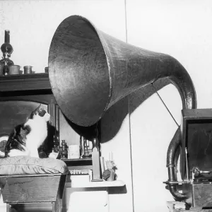 HER MASTER'S VOICE! HER MASTER'S VOICE!