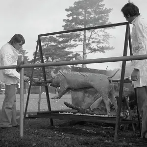 Two men roasting a pig on a spit Two men roasting a pig on a spit