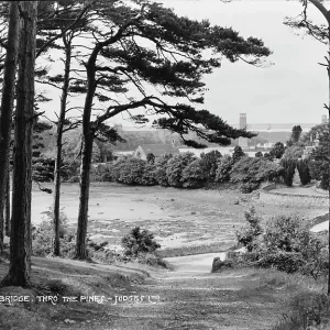 Menai Bridge Through the Pines Menai Bridge Through the Pines