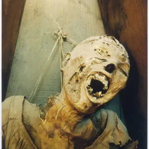 MEXICAN MUMMIES (STACY) MEXICAN MUMMIES (STACY)
