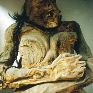 MEXICO/MUMMY (STACY) MEXICO/MUMMY (STACY)