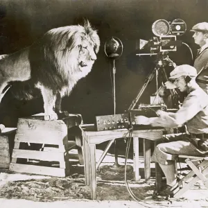 Mgm Lion Mgm Lion