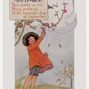 Months of the year. September Months of the year. September