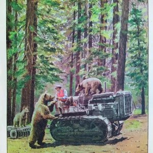 The Motor Picture Book, The Bears and the Tractor The Motor Picture Book, The Bears and the Tractor